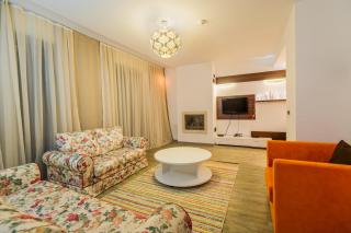 Timber view apartment Silver Mountain Poiana Brasov - Poiana Brasov - 3