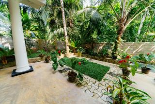 Shirani nature palace - Weligama - 5