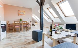 Jane's Attic Apartment - Praga - 9