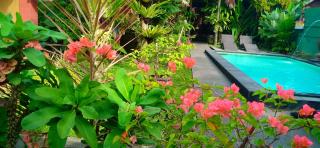 Secret Garden Sky - Ubud - 8