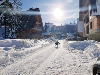 Apartments A Vlasic - 6