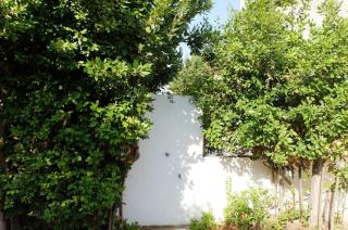 Villa Lisa - Porto Cesareo - 5