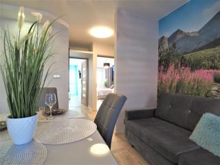 VIP Apartamenty Kasprusiowy Zakatek - Zakopane - 4