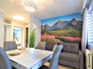 VIP Apartamenty Kasprusiowy Zakatek - Zakopane - 9