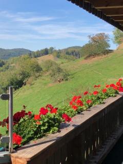 Ferienwohnung HOF - Mühlenbach - 3