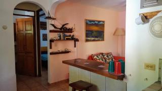 Pacific Jungle Condominium - 3