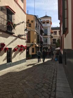Apartamentos Flamenco B&B - Sevilla - 5