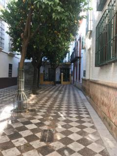 Apartamentos Flamenco B&B - Sevilla - 9