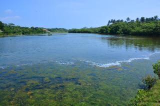 Randu Homestay and Restaurant - Tangalle - 1