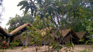 Nature Camp Konark Retreat - 7