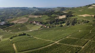 Rocche Costamagna Art Suites - La Morra - 4