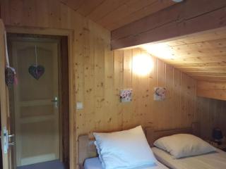 Magnificent chalet on the mountain slopes - Les Gets - 1