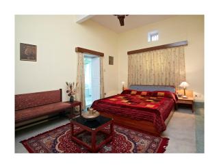 Nokha House - Jaipur - 9