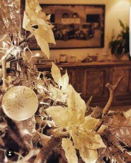 Like At Home B&B - 5