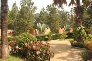Saltek Forest Cottages - Masindi - 0