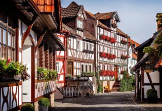 Romantik Hotel Schubert - Lauterbach - 9
