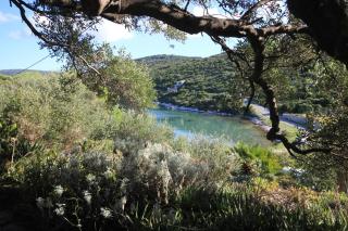 Seaside holiday house Cove Parja, Vis - 8892 - 1