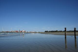 The Ocean Breeze CBD - 1