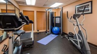 Best Western Plus The Woodlands - The Woodlands - 4