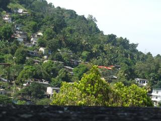 Rest for Guests - Homestay - 2