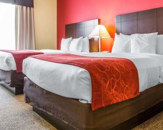 Comfort Suites Rock Hill Manchester Meadows Area - Rock Hill - 4