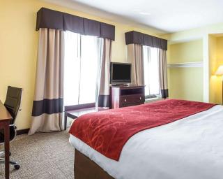 Comfort Suites Rock Hill Manchester Meadows Area - Rock Hill - 1