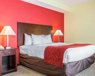 Comfort Suites Rock Hill Manchester Meadows Area - Rock Hill - 2