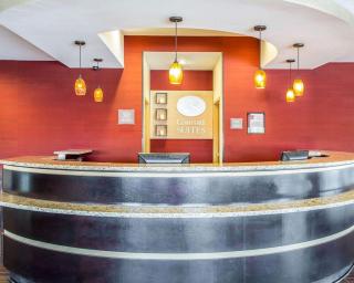 Comfort Suites Rock Hill Manchester Meadows Area - Rock Hill - 8