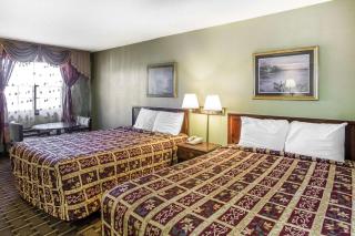 Rodeway Inn & Suites - Smyrna - 4