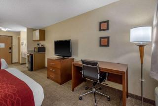 Comfort Inn Denver Southeast Area - 1