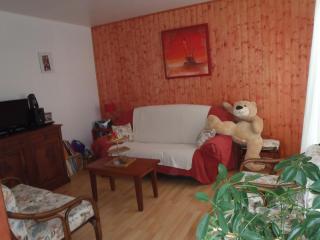 Les Elfes - 7