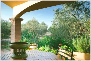 Agriturismo Costa Etrusca - San Vincenzo - 3