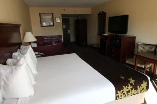 Gold Leaf Hotel of Dewey - Dewey Beach - 9