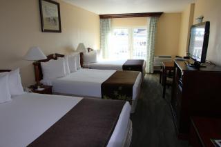 Gold Leaf Hotel of Dewey - Dewey Beach - 6