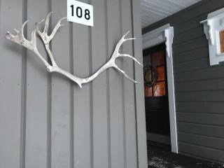 Räkkipirtti - Luosto - 2