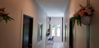 Nest hostel lipe - Ko Lipe - 4