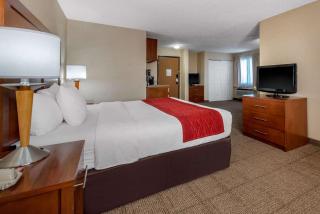 Comfort Inn Denver Southeast Area - 5