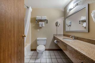 Comfort Inn Denver Southeast Area - 4