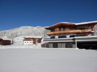 Ferienwohnung App. MOUNTAIN VIEW - Fieberbrunn - 9