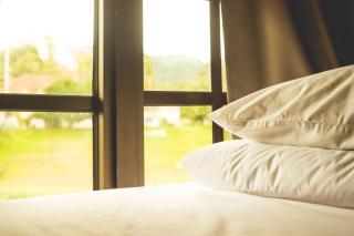 Traveller Bunker Hostel 1 - Cameron Highlands - 5
