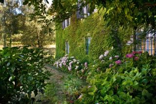 Agriturismo Tra Le Vigne - 5