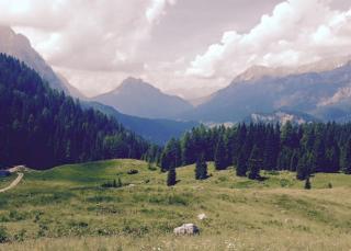 Hotel Sport - Sappada - 3