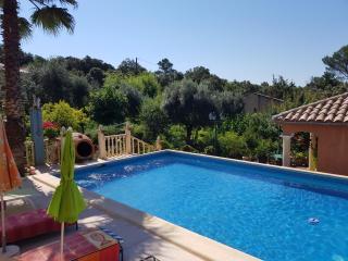 Casa das oliveiras - Flassans-sur-Issole - 1