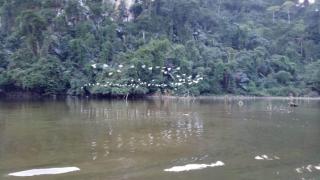 Nha Nghi Son Lam - Panorama lake view - An Ma - 9
