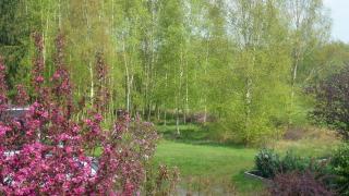 Fewo Ausblick - Hechthausen - 2