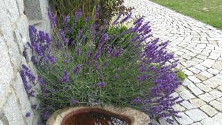 Penzion Pod Jáchymem - 9