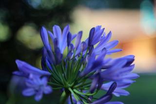 Espectacular casa - 6