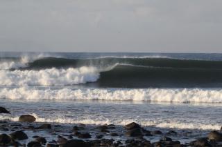 Medewi Beach Inn - 1