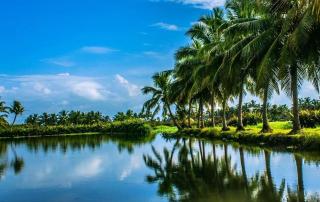Golden Beach Home Stay - Alleppey - 1