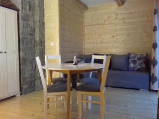 Domek, Apartamenty i pokoje Willa Elita - Kościelisko - 9